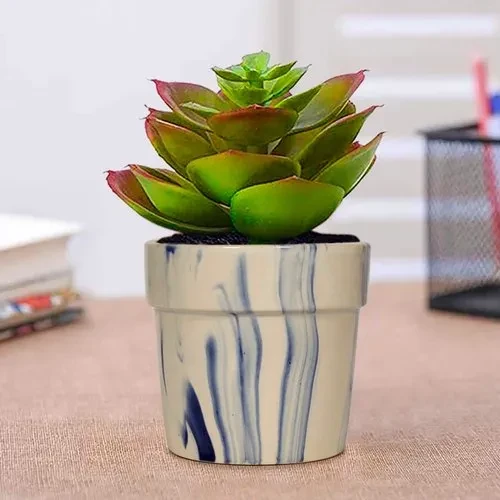 Lyla Ceramic Pot & With Plate For Indoor & Outdoor Table Top