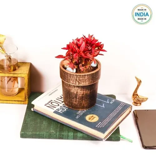 Lyla Ceramic Pot & With Plate For Indoor & Outdoor Table Top