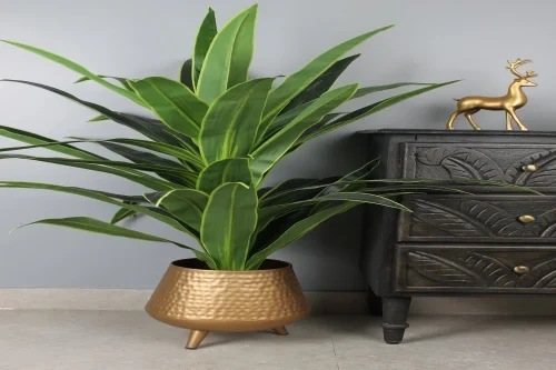 Artificial Dragon Plant (4 feet)