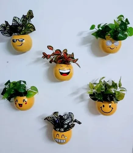 Six Smiley Ball Wall Planter